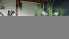 Bloembak Modulair - 300x150x56 cm Corten