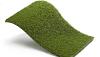 Royal Grass Aura  2m breed
