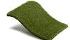 Royal Grass Bliss  2m breed