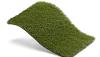 Royal Grass Bloom  4m breed