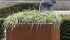 Plantenbak Vlak Corten 120x30x80 cm