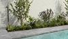 Solido Ceramica 30MM Bluestone Grey tegel 90x90x3 cm.
