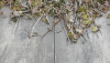 GeoCeramica® 60x30x4 Timber Grigio