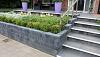 Patioblok Antraciet 60x15x15cm strak