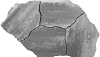 GeoArdesia Alivo Elba