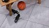 GeoCorso Brezza 60x60x4 Parma