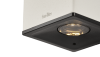 CUBID White