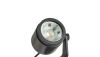 BIG SCOPE