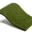 Royal Grass Bliss  4m breed