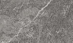 GeoCeramica® 60x60x4 V.D. Alpi VAL MALENCO