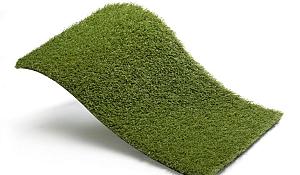 Royal Grass Aura  4m breed