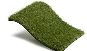 Royal Grass Bliss  2m breed