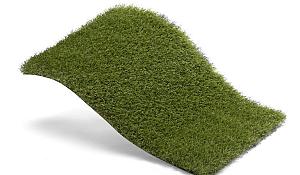 Royal Grass Bloom  4m breed