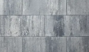 Tremico 60x30x6  Zeeuws bont