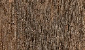Noon Unico 60x30x2 Honey NN03