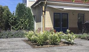 SMARTTON SE XXS 30X60X4CM AMIATA
