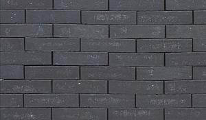 Clayville Amsterdam WF 200x48x60 mm recht (1168 stuks/pallet, 98 stuks/m2)