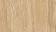 GeoCeramica® 120x30x4 Mywood Miele (Bianco)