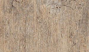 Noon 120x30x2 Daylight NN01