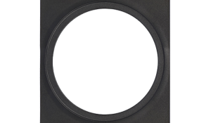 PLATE 1 Black