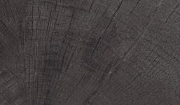 VTWONEN Timber Black, zwart, 20x80x3 cm