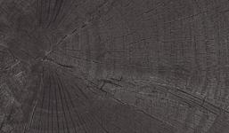 VTWONEN Timber Black, zwart, 20x80x3 cm