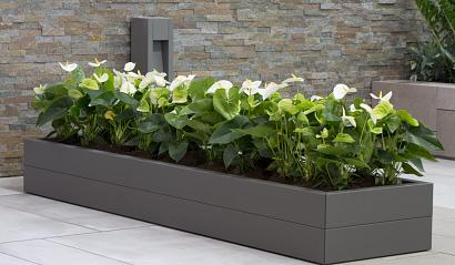 Plantenbak Modulair Taupe 150x30x28 cm