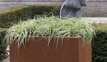 Bloembak vlak - 60x150x40 cm Corten