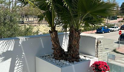Bloembak vlak - 210x210x60 cm Wit