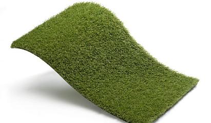 Royal Grass Aura  2m breed