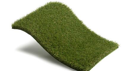 Royal Grass Bliss  4m breed