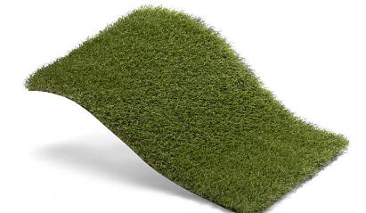 Royal Grass Bloom  4m breed