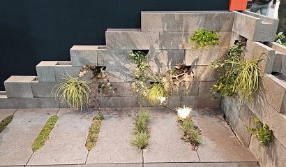 SCHELLEVIS ® OUD HOLL. ECO-TEGEL LANG 100X50X7 CM GRIJS