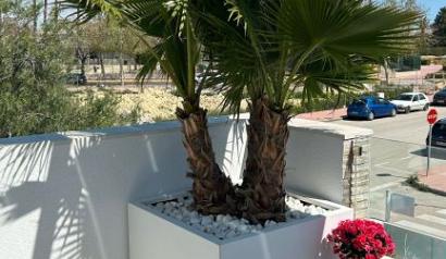 Plantenbak Vlak Wit 60x30x80 cm