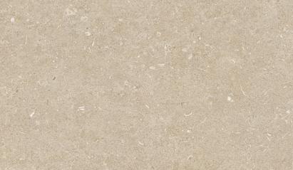 Douglas Jones 20mm Terrastegel 1200X1200 Conchiglia 20mm Mat Ret.R11