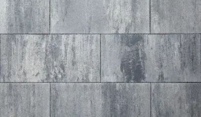 Tremico 60x30x6  Zeeuws bont