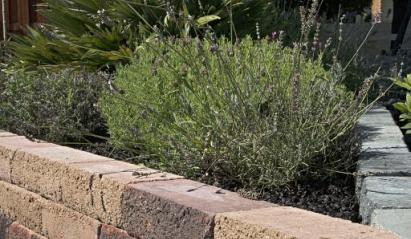 PILESTONE LINE GLORIA 40X15X10CM