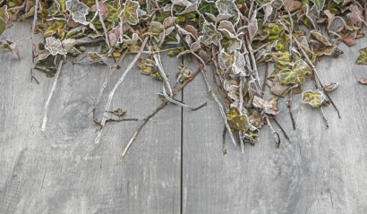 GeoCeramica® 80x40x4 Timber Grigio