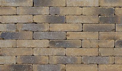 Clayville Arnhem WF 200x48x60 mm getrommeld (1040 stuks/pallet, 98 stuks/m2)