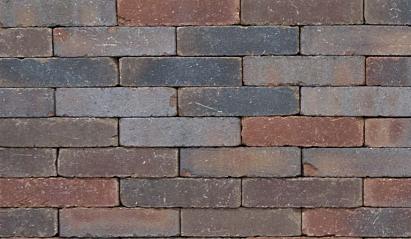 Clayville Brussel WF 200x48x60 mm getrommeld (1040 stuks/pallet, 98 stuks/m2)