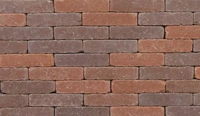 Clayville Oostende WF 200x48x60 mm getrommeld (1040 stuks/pallet, 98 stuks/m2)