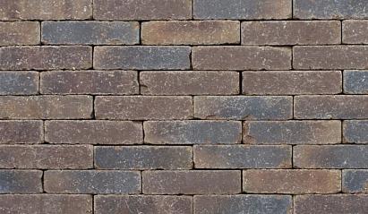 Clayville Leuven DF 200x65x60 mm getrommeld (750 stuks/pallet, 73 stuks/m2)