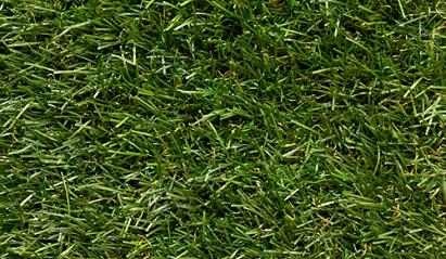 MGA BUDGET PLUS 4 mtr. Breed