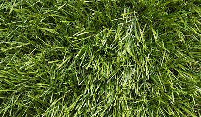 MGA NATURAL MASON 4 mtr. breed