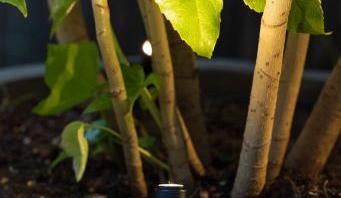 MICRO SCOPE